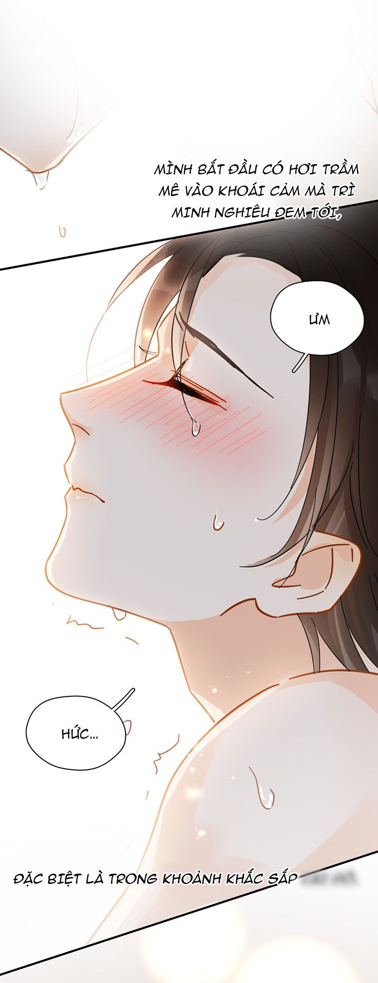 Theo Đuôi Chapter 33 - Next Chapter 34