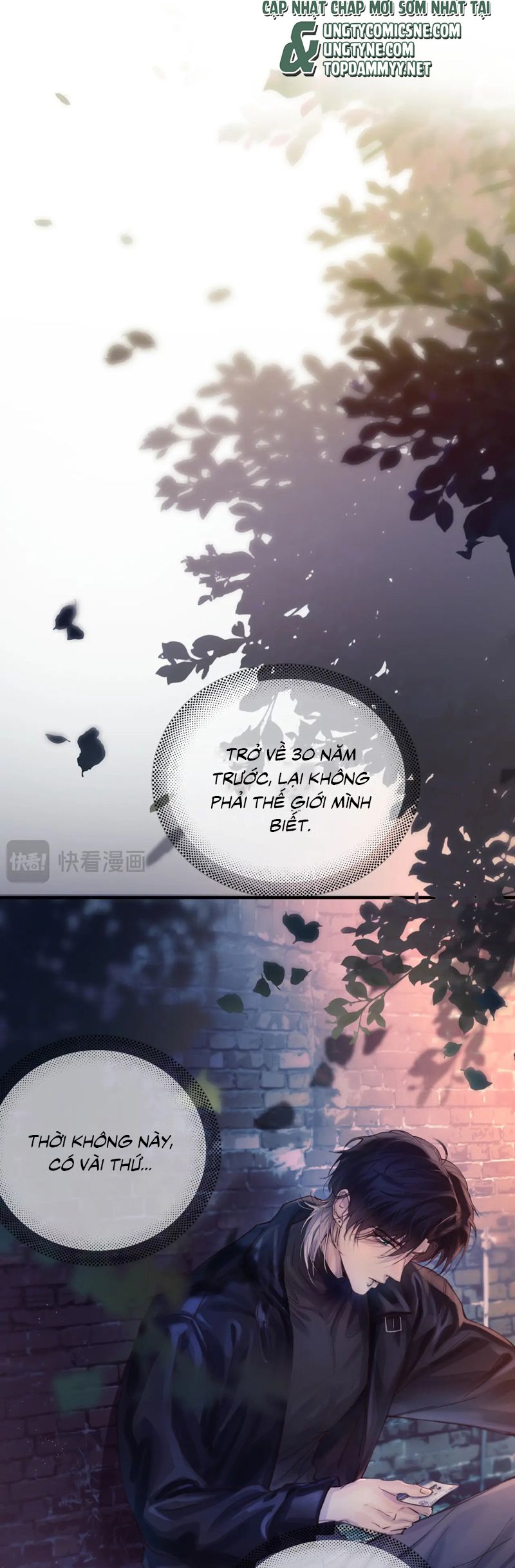 Tinh Vệ Chapter 8 - Next Chapter 8.2 Ngoại Truyện